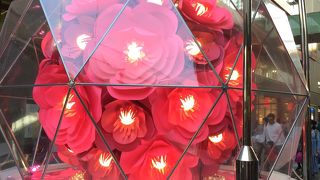 ライズショッピングセンター