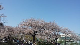 4月まで開催されているけど