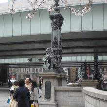 桜の花のもと、日本橋の標識と日本橋の獅子と飾りついた橋柱です