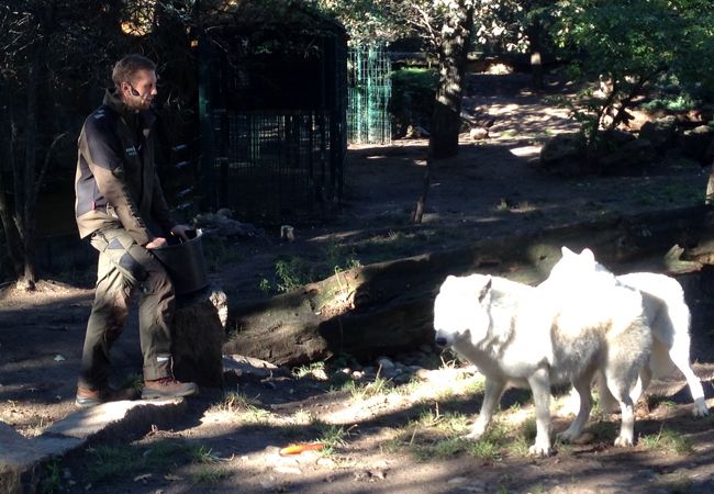 故白熊のクヌートで有名な動物園