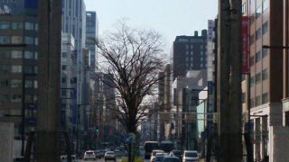 札幌の中心地を南北につなぐ道路