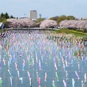 期間内なら楽しめます