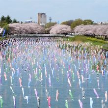 川幅の広いところは圧巻です