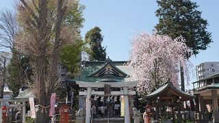 健康神社として親しまれている八幡宮