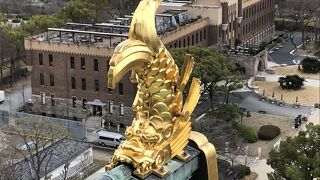 シャチホコがあります！