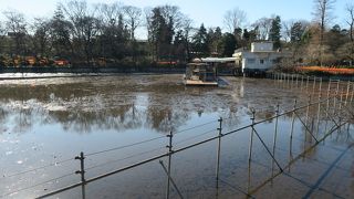 ３回目のかいぼり