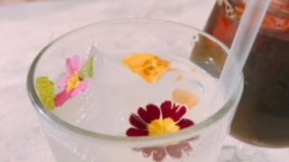 テラス席からの景色が良い