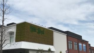 海沿いで気持ちよい