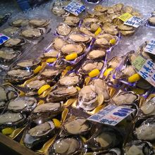 生ガキがたくさん！