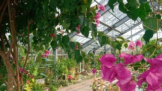 温室リニューアルされてました