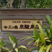 炭酸泉源公園近く。