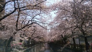 桜の名所