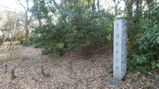 水生植物園の丘の上