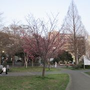 首都高狩場線　花之木出入口の近く　広々とした公園