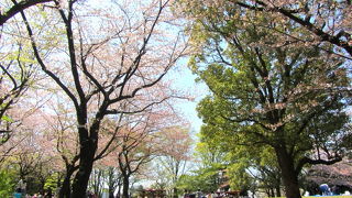 平和島公園と平和の森公園