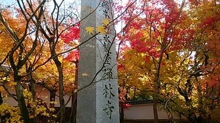 素晴らしい紅葉