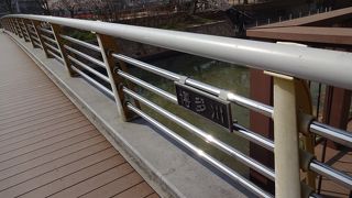 川沿いの散策は楽しい。