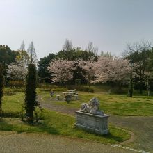 バラ公園でも桜が綺麗に