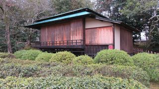 茶畑の奥にあります