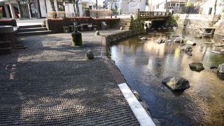 気持ちのよい散歩ができる