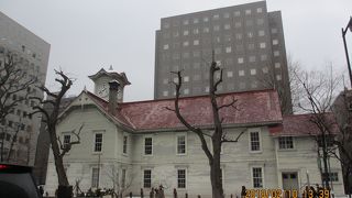 思っていたよりは大きかった