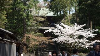 大変立派な門でした