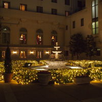 2018年1月、中庭のイルミネーション1