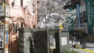 渋谷は与謝野晶子が新婚生活を送った場所だったのですね。