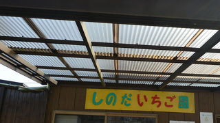 観光農園篠田いちご園