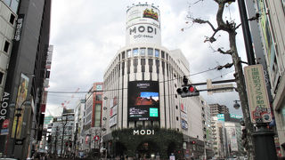 参加型のお店だそうです。