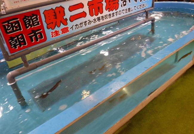 函館朝市 駅二市場 活いか釣り広場 クチコミ アクセス 営業時間 函館 フォートラベル