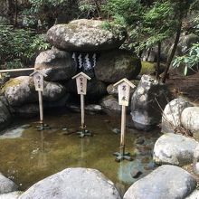 お水を入れるボトルが売られています