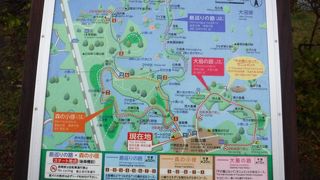 散歩がおすすめ