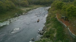 初夏に涼を求めて