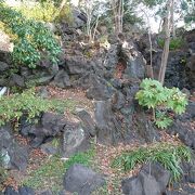 富士山から４０ｋｍもあるのに、ここまで流れてきた溶岩の末端