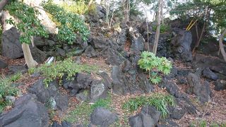 富士山から４０ｋｍもあるのに、ここまで流れてきた溶岩の末端