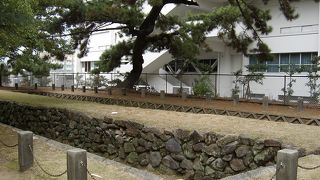 パッと見た感じ、フツーの場所