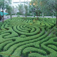 こんな中庭もあります