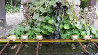 心の安らぎ旅行（2016年　東京　深大寺）
