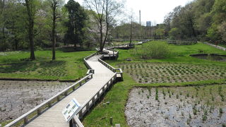 静かで気に入りました