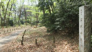 水生植物園内の高台です