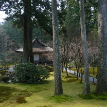 　ベストアングル！　　午前は逆光になるのが残念