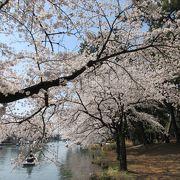 桜の名所になっていますが直ぐ近くの前橋公園に比べると人出はずっと少ないです