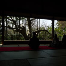 こんな具合で庭園を眺めながら、抹茶とお菓子タイム