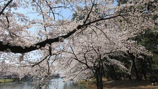 桜の名所になっていますが直ぐ近くの前橋公園に比べると人出はずっと少ないです