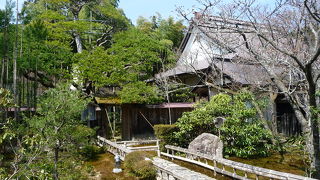 意外と良かった