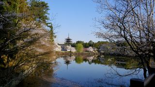 ここからの興福寺五重塔はいいながめ