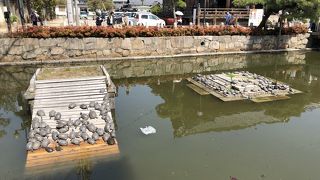 おそらく百匹はカメがいるのでは？