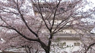 鉄筋コンクリートの天守閣