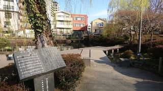 どこから湧き出しているのか神秘的な池